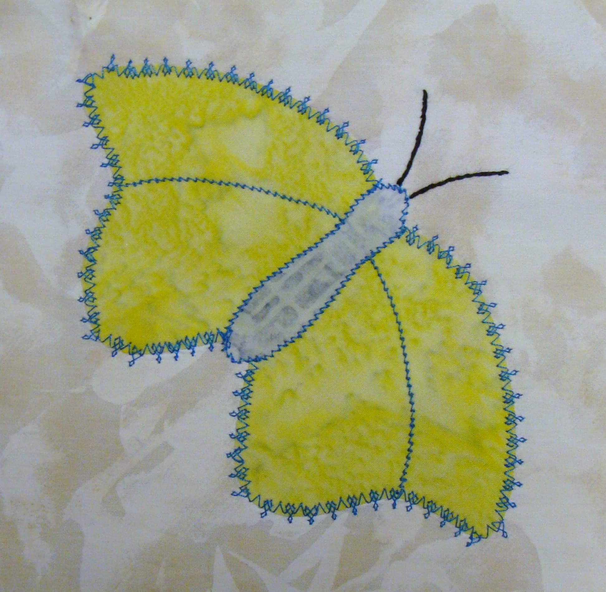 Butterfly Garden