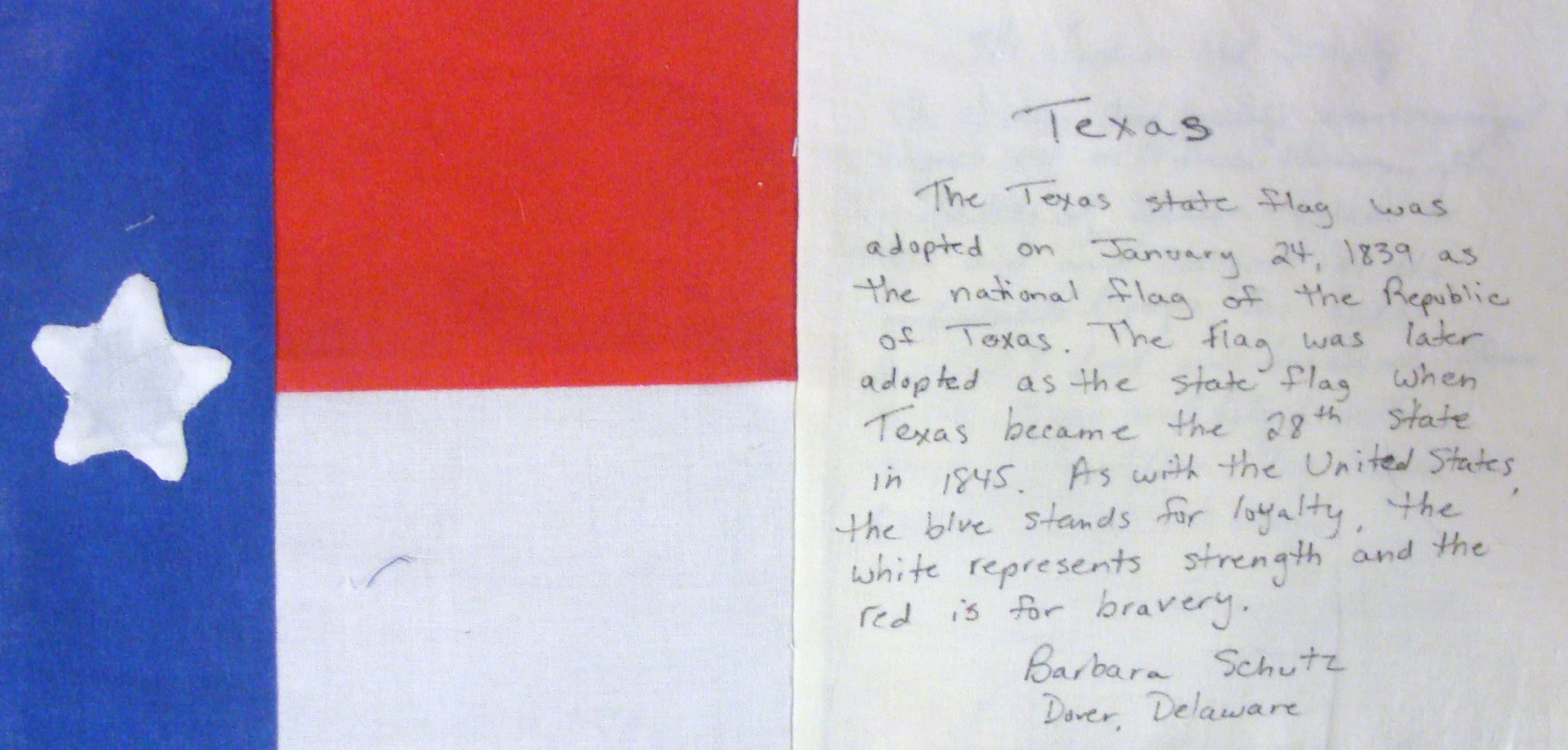 Texas State Flag