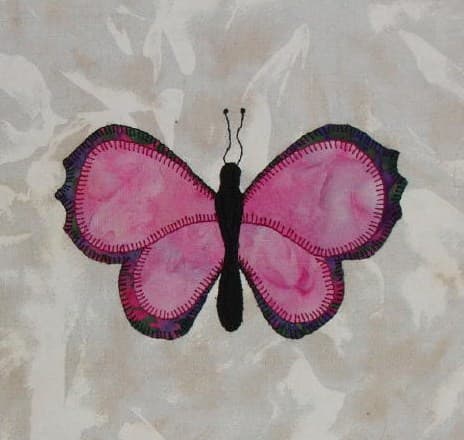 Butterfly Garden
