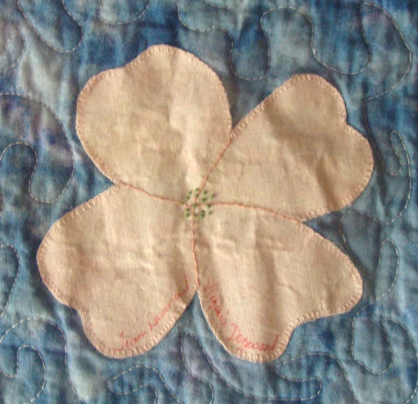 Virginia Dogwood · State Flowers swap