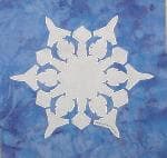 Florida — Space shuttle snowflake (NF17)