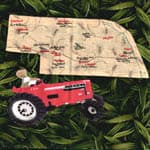 Sunbonnet Sue - Nebraska