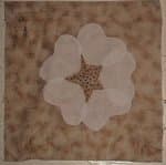 The Legend of the Cherokee Rose