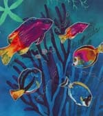 Bermuda by Pam