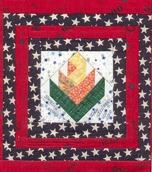 USA by Sandra