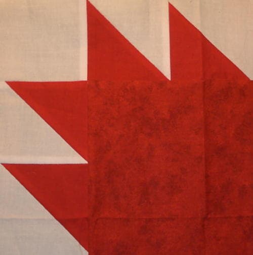 Maple Leaf by Diane