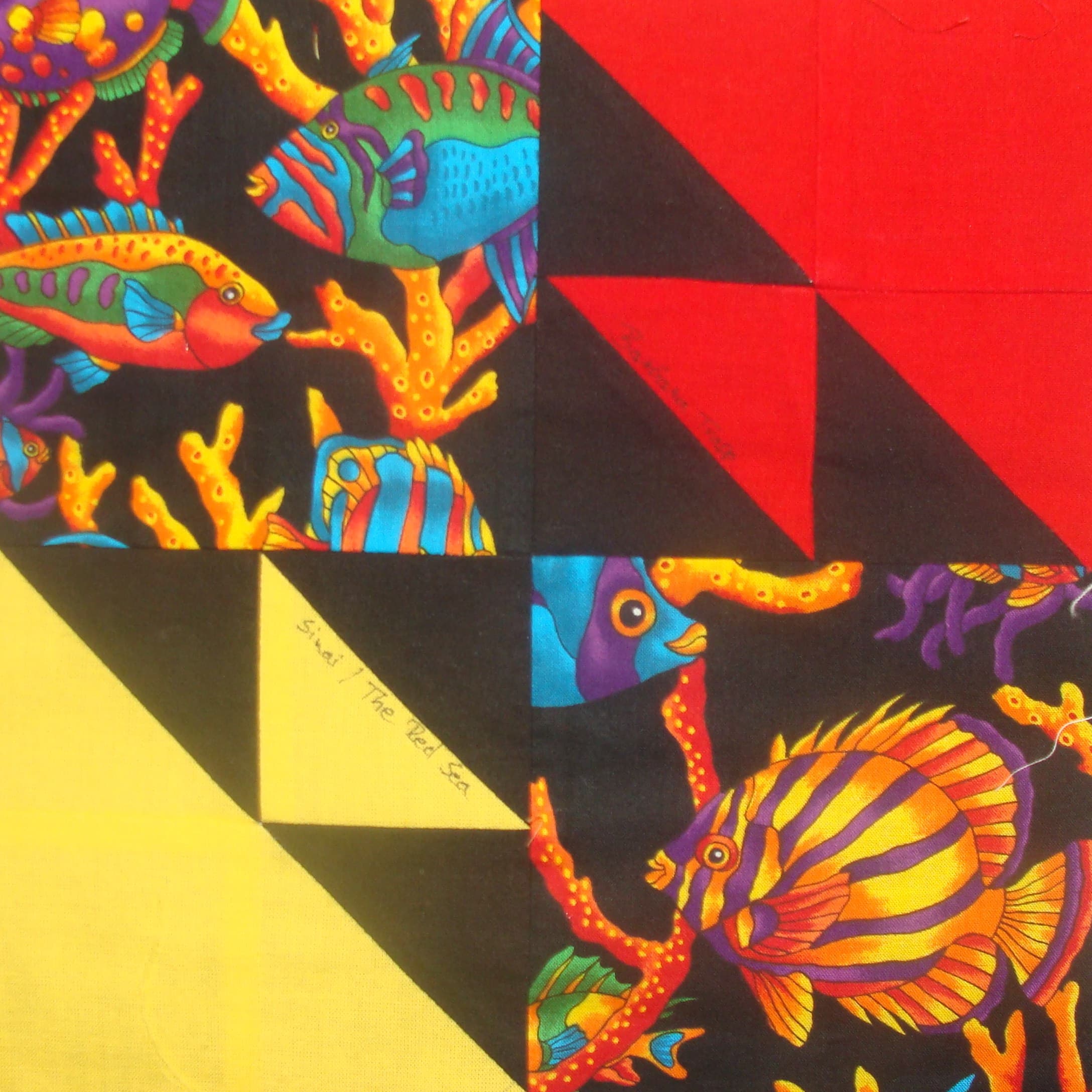 Sinai/Red Sea by Barbara