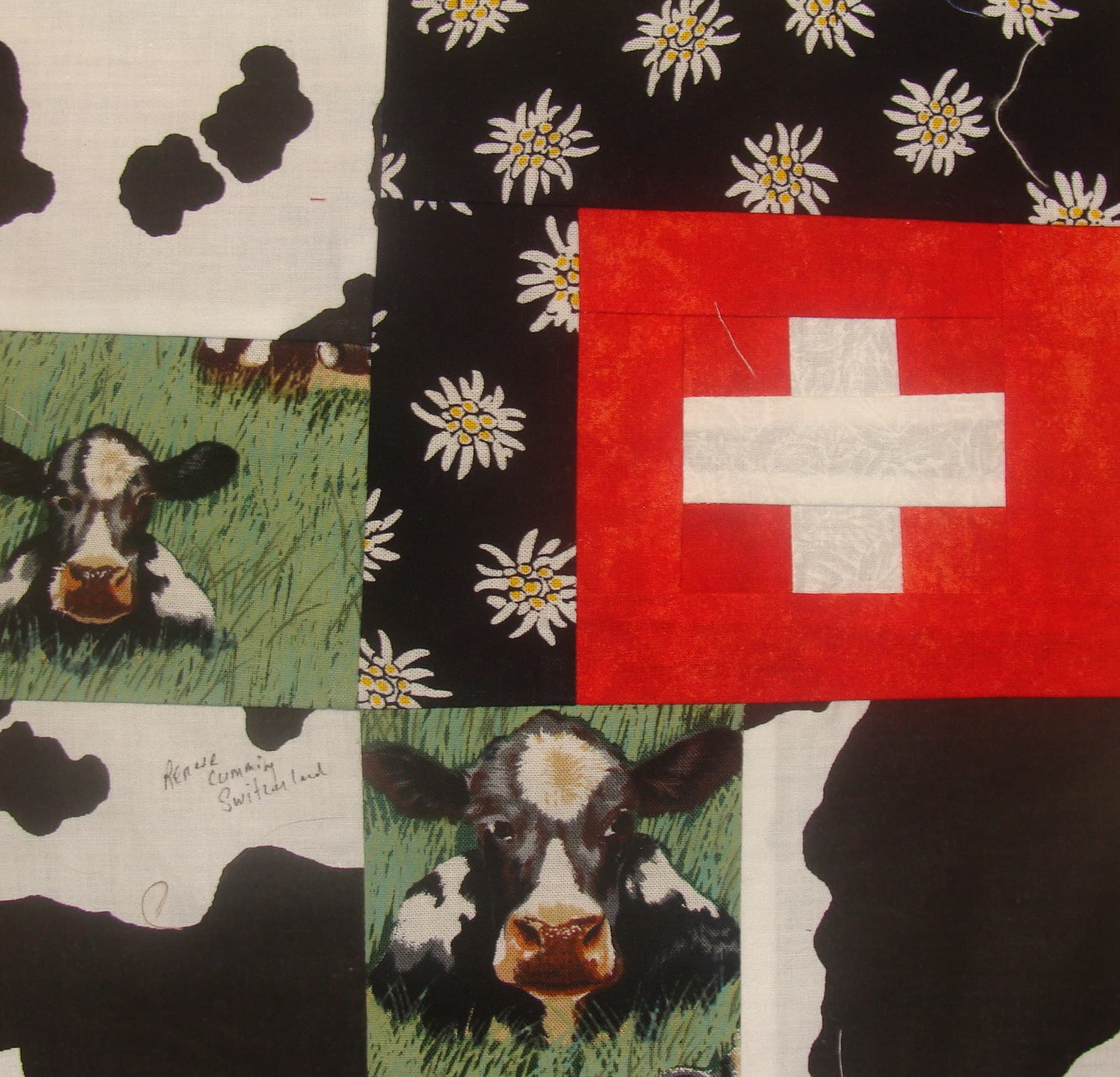 Switzerland by RC