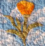 Block from this exchange