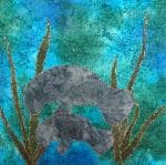 NF3 — Burgundy, Blue & Cream