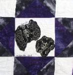 NF7 — Purple & Black