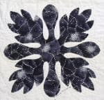 NF7 — Purple & Black