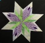 NF22 — Carol Doak Stars