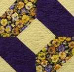 NF5 — Purple & Yellow