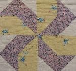 NF5 — Purple & Yellow