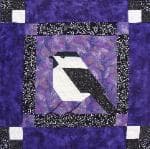 NF7 — Purple & Black