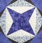 NF7 — Purple & Black