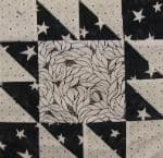 NF15 — Black & White