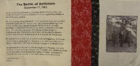 Civil War Collection