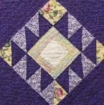 NF5 — Purple & Yellow