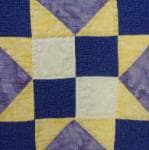 NF5 — Purple & Yellow