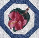 NF4 — Blue, Plum & White