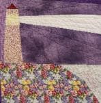 NF5 — Purple & Yellow