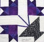 NF7 — Purple & Black