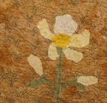 NF8 — Peach & Olive Green