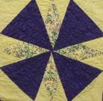 NF5 — Purple & Yellow