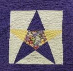 NF5 — Purple & Yellow