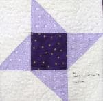 NF7 — Purple & Black