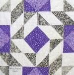 NF7 — Purple & Black