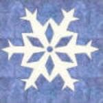 NF2 Burgundy & Green