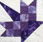 NF7 — Purple & Black