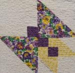 NF5 — Purple & Yellow