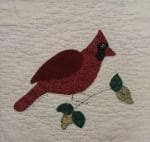 NF5 — Purple & Yellow