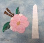 NF6 — Cranberry, Blue & Green