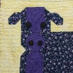 NF5 — Purple & Yellow