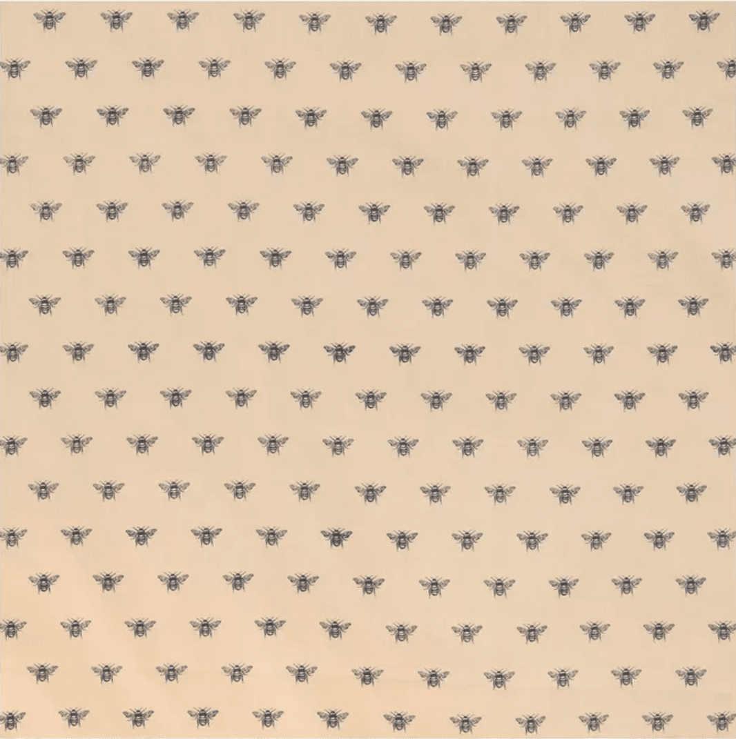 Blanket 5