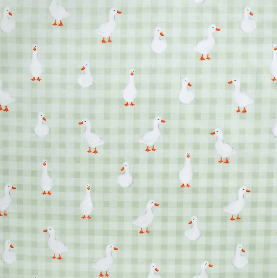 Blanket 17