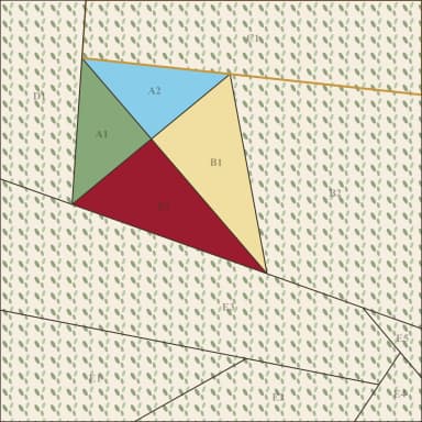 Kite - 6"