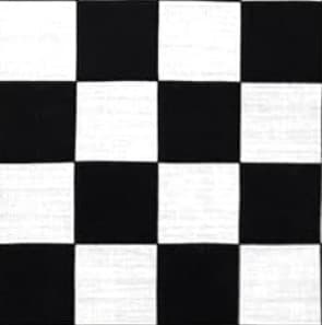 2” checks