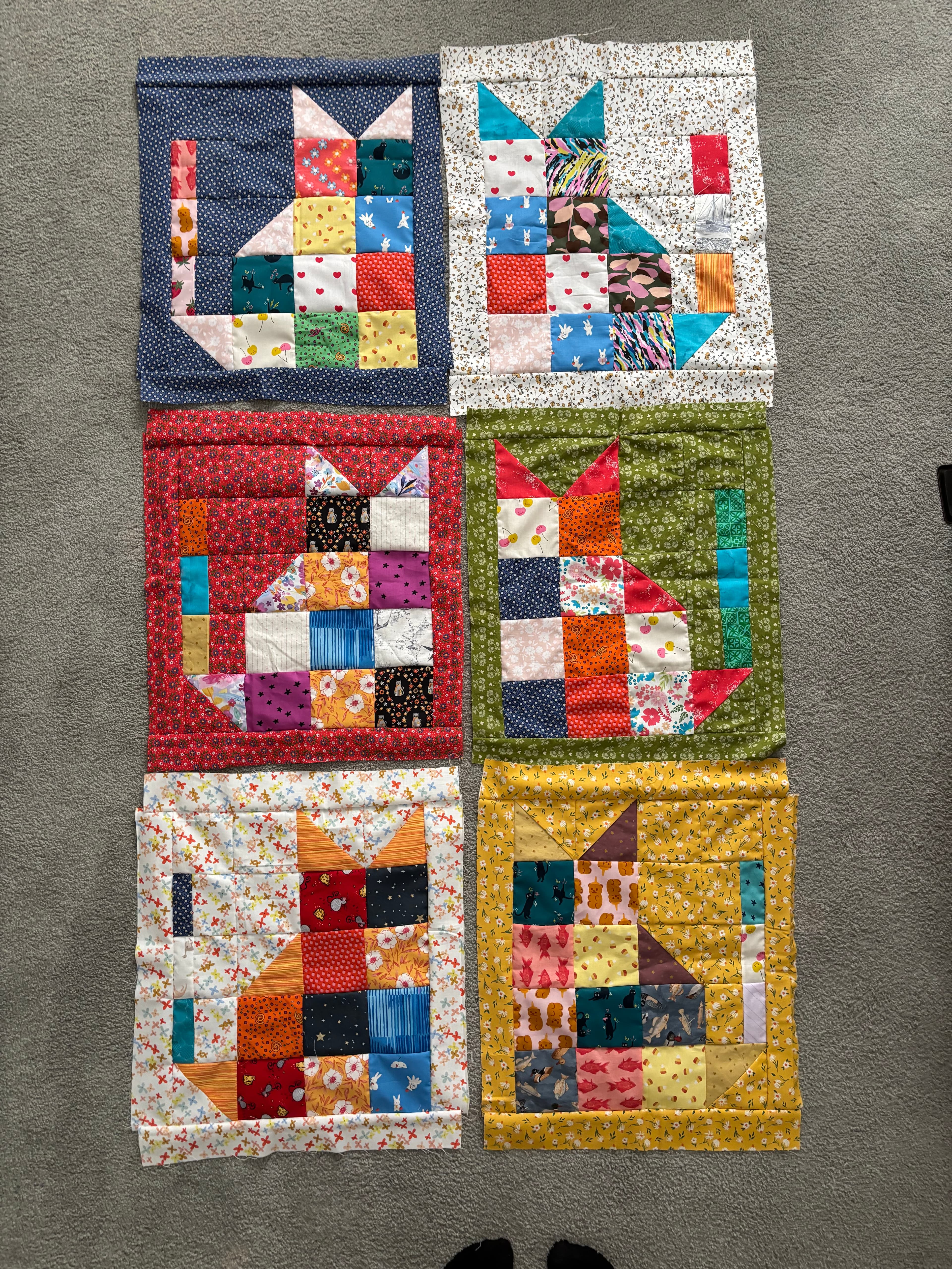 Cat blocks